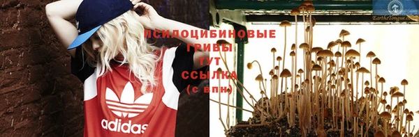 герыч Инсар