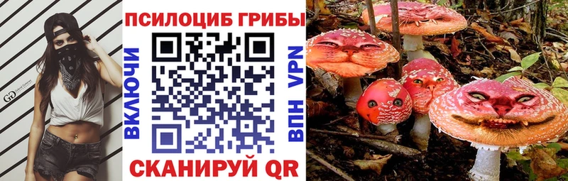 закладка  ссылка на мегу маркетплейс  Псилоцибиновые грибы Psilocybe  даркнет Telegram  Инза 
